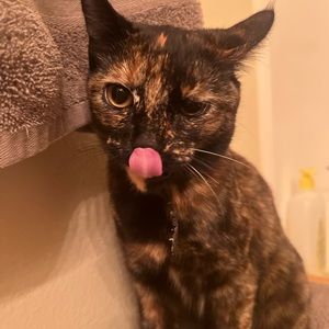 Meet your Posher, Makila